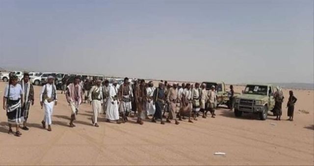 shabwah24