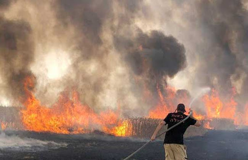 حرائق ضخمة في إسرائيل ونتنياهو يبحث طلب مساعدة دولية