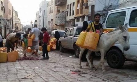 منظمة دولية تحذر من إصابة نصف سكان اليمن بأمراض قاتلة