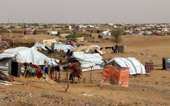 منظمة دولية : انتشار مرض الجرب في أوساط النازحين باليمن