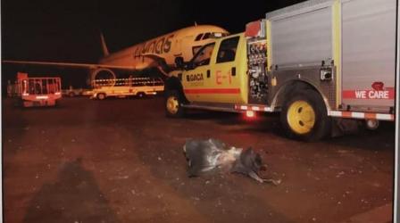 الحوثيون يستهدفون مطار أبها بـ3 طائرات مسيرة .. والتحالف يعلن إسقاط طائرتين 