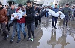 gazah26