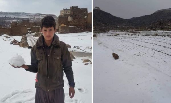 yemen pard